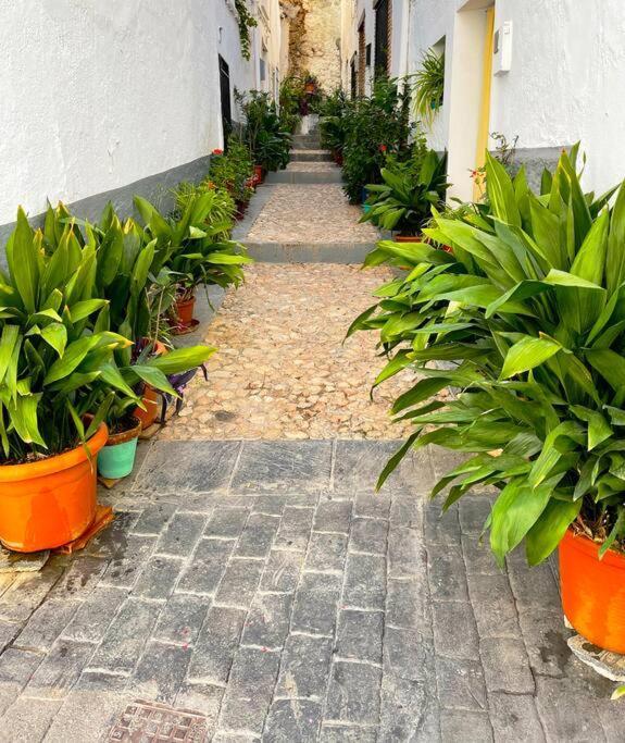 Mi Rincon Favorito Apartament Cogollos De La Vega